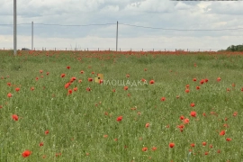 Участок 5 соток